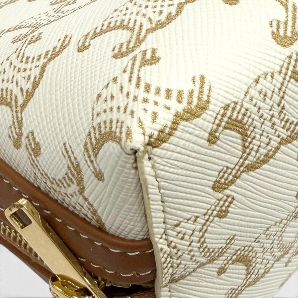 Celine Triomphe Canvas Logo Chain Clutch Shoulder Bag Box Included — view 9