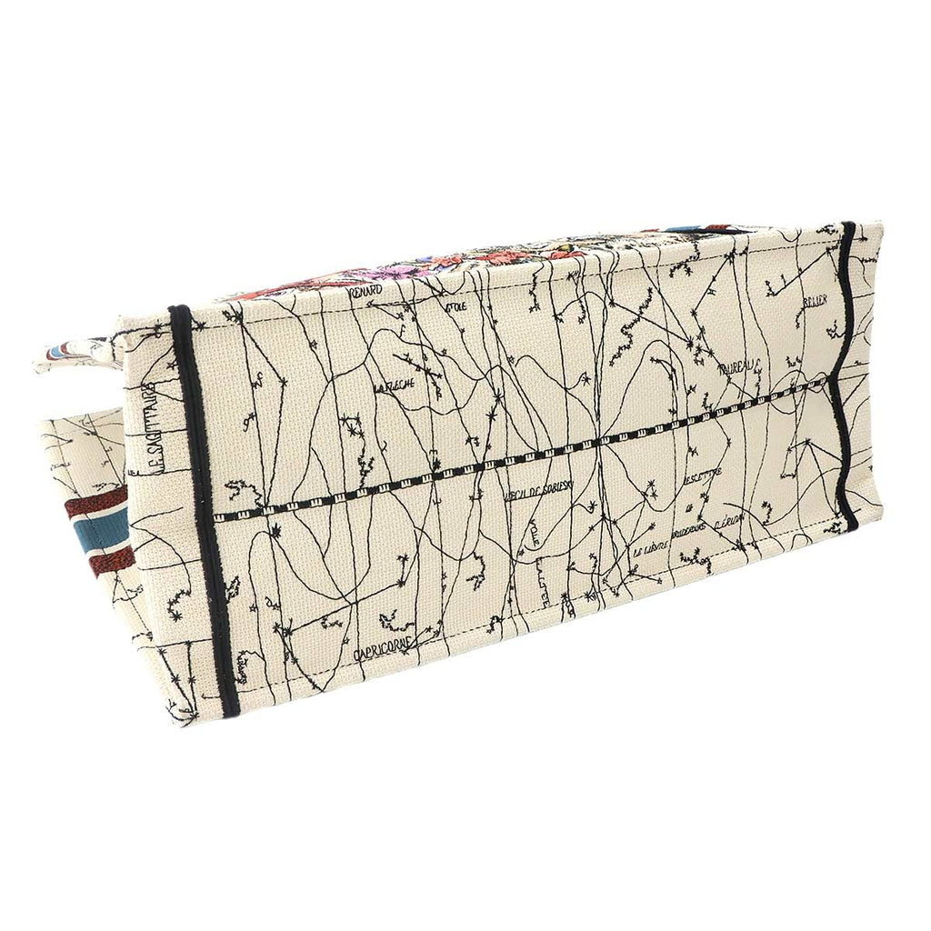 Dior Book Tote Canvas Multicolor — view 5