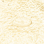 Chanel CC Logo Round Motif Necklace — view 4