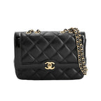 Chanel Shoulder Bag Mini Flap