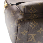 Louis Vuitton Monogram Palm Springs Mini Leather Backpack Brown — view 5