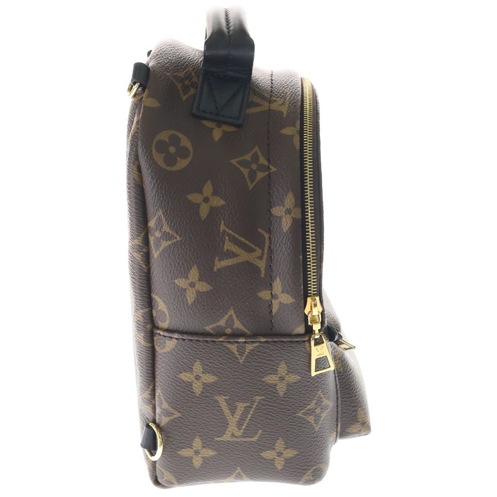 Louis Vuitton Monogram Palm Springs Mini Leather Backpack Brown — view 3