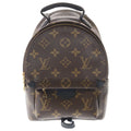 Louis Vuitton Monogram Palm Springs Mini Leather Backpack Brown