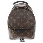 Louis Vuitton Monogram Palm Springs Mini Leather Backpack Brown