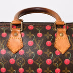 Louis Vuitton Speedy 25 Handbag Monogram Cherry Brown Takashi Murakami — view 8