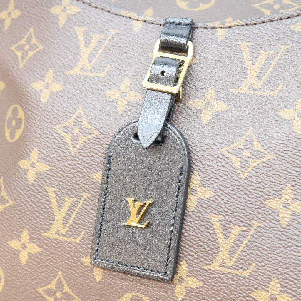 Louis Vuitton Monogram Odeon NM MM Shoulder — view 7