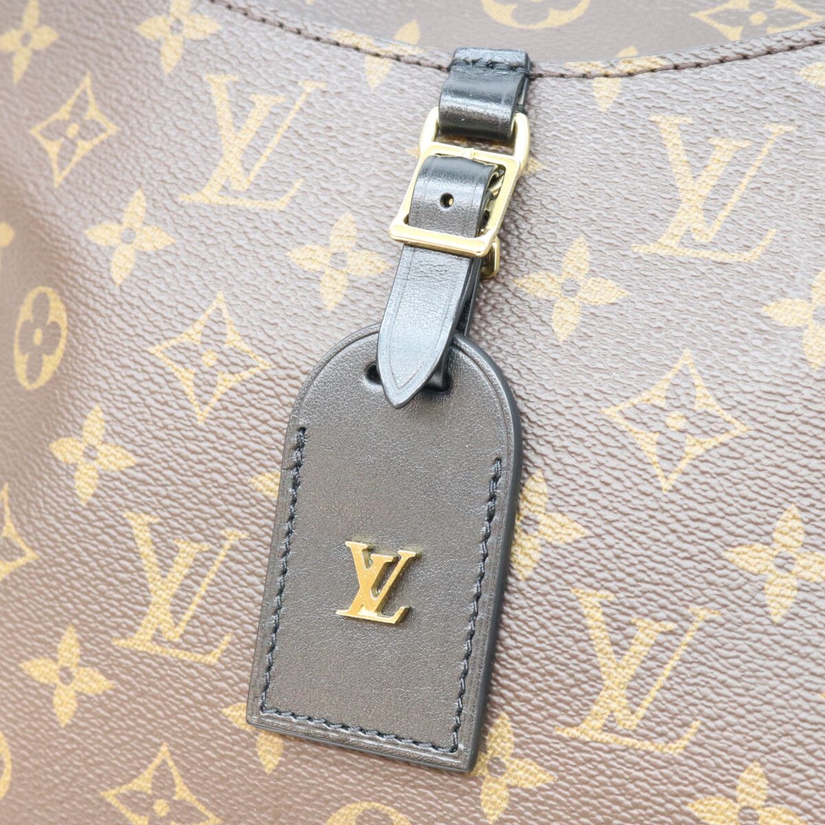 Louis Vuitton Monogram Odeon NM MM Shoulder — view 7