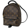 Louis Vuitton Palm Springs Backpack Mini Shoulder Bag Monogram Brown