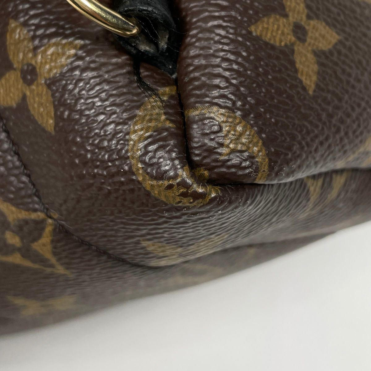 Louis Vuitton Palm Springs Backpack Mini Shoulder Bag Monogram Brown — view 4