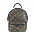 Louis Vuitton Monogram Palm Spring Backpack Mini
