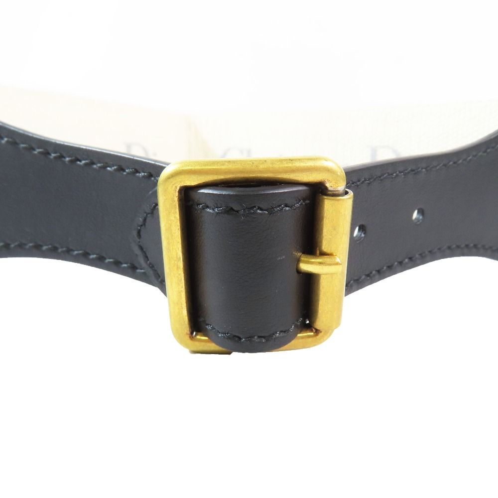 Dior Embroidery Logo Canvas Maxi Belt 75 Gray — view 5