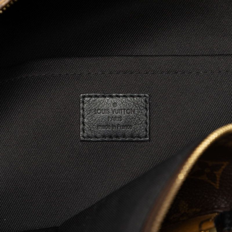 Louis Vuitton Monogram Reverse Palm Springs Backpack Brown Leather — view 6