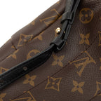 Louis Vuitton Monogram Reverse Palm Springs Backpack Brown Leather — view 4