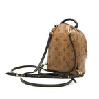 Louis Vuitton Monogram Reverse Palm Springs Backpack Mini Brown Black Leather — view 2