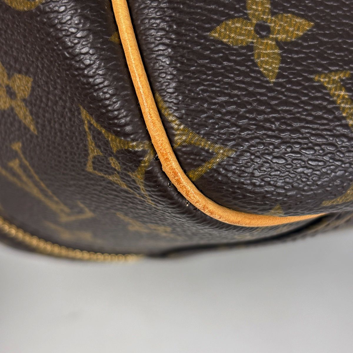 Louis Vuitton Excursion Handbag Shoe Case Monogram Brown — view 3