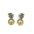 Chanel Earrings Ivory Silver