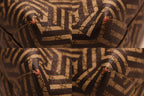 Gucci GG Carre Ido Bee Supreme Canvas Tote — view 5