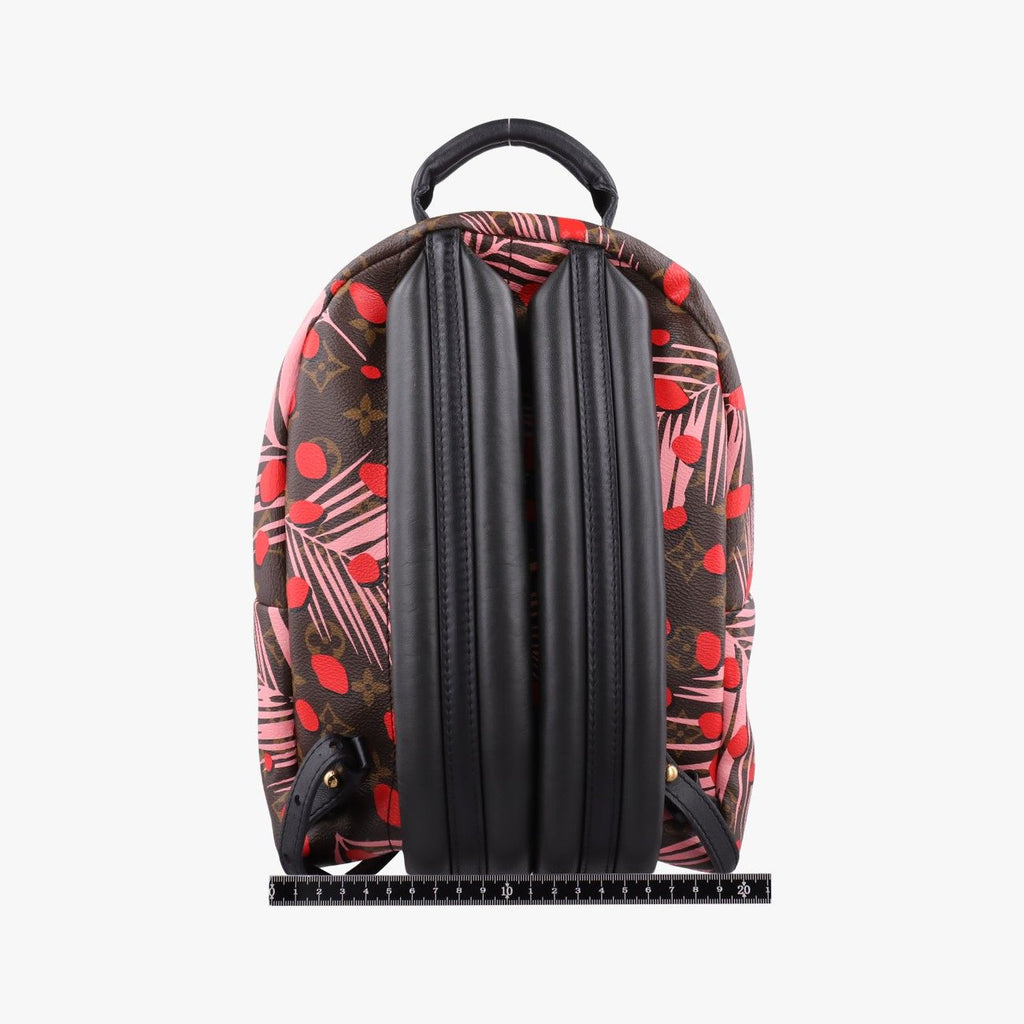 Louis Vuitton Palm Springs PM Brown Sugar Pink Poppy Monogram Jungle — view 2
