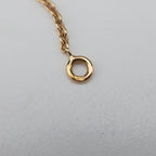 Dior Rose Des Vents Medallion Red Gold Necklace — view 8