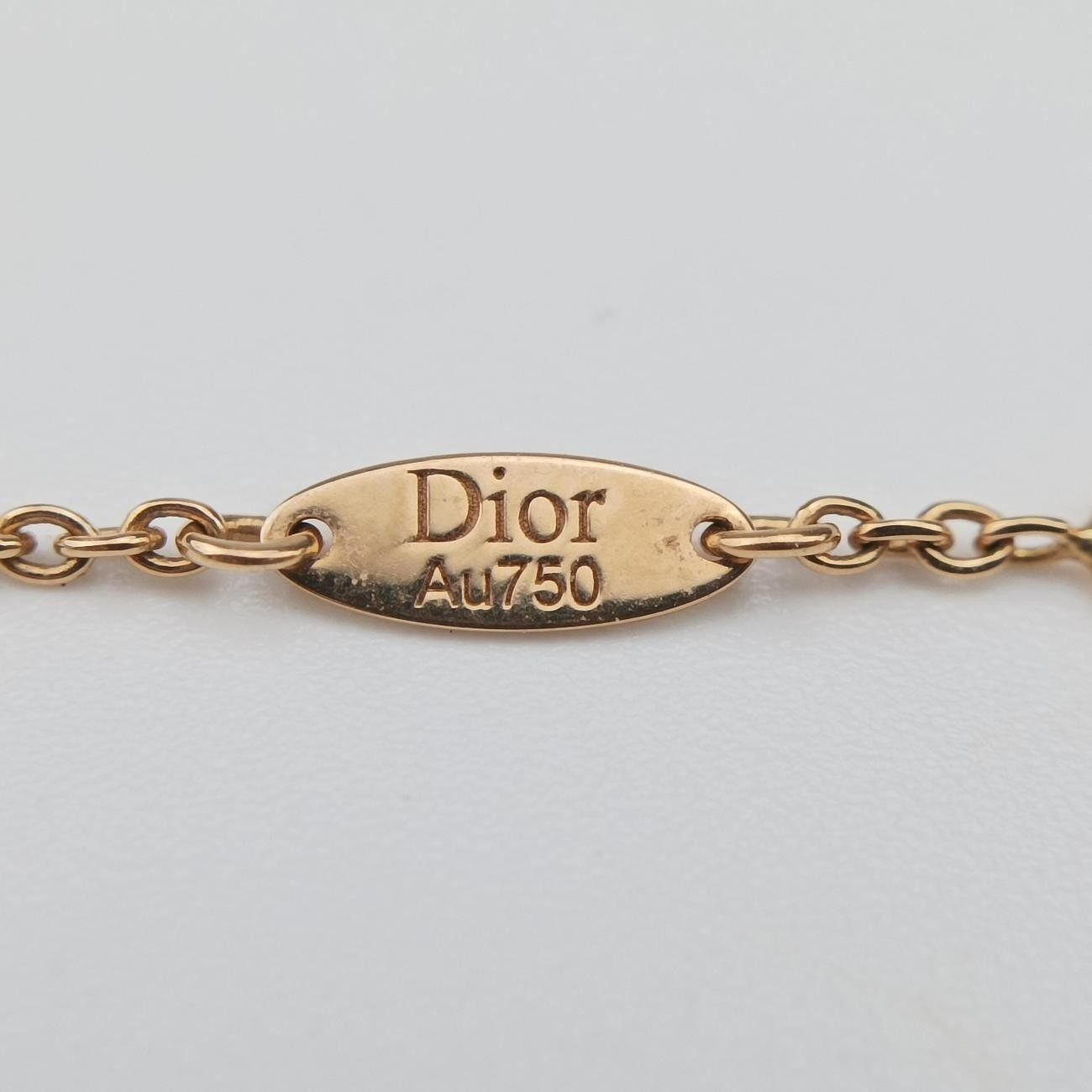 Dior Rose Des Vents Medallion Red Gold Necklace — view 5