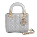 Dior Handbag Gray