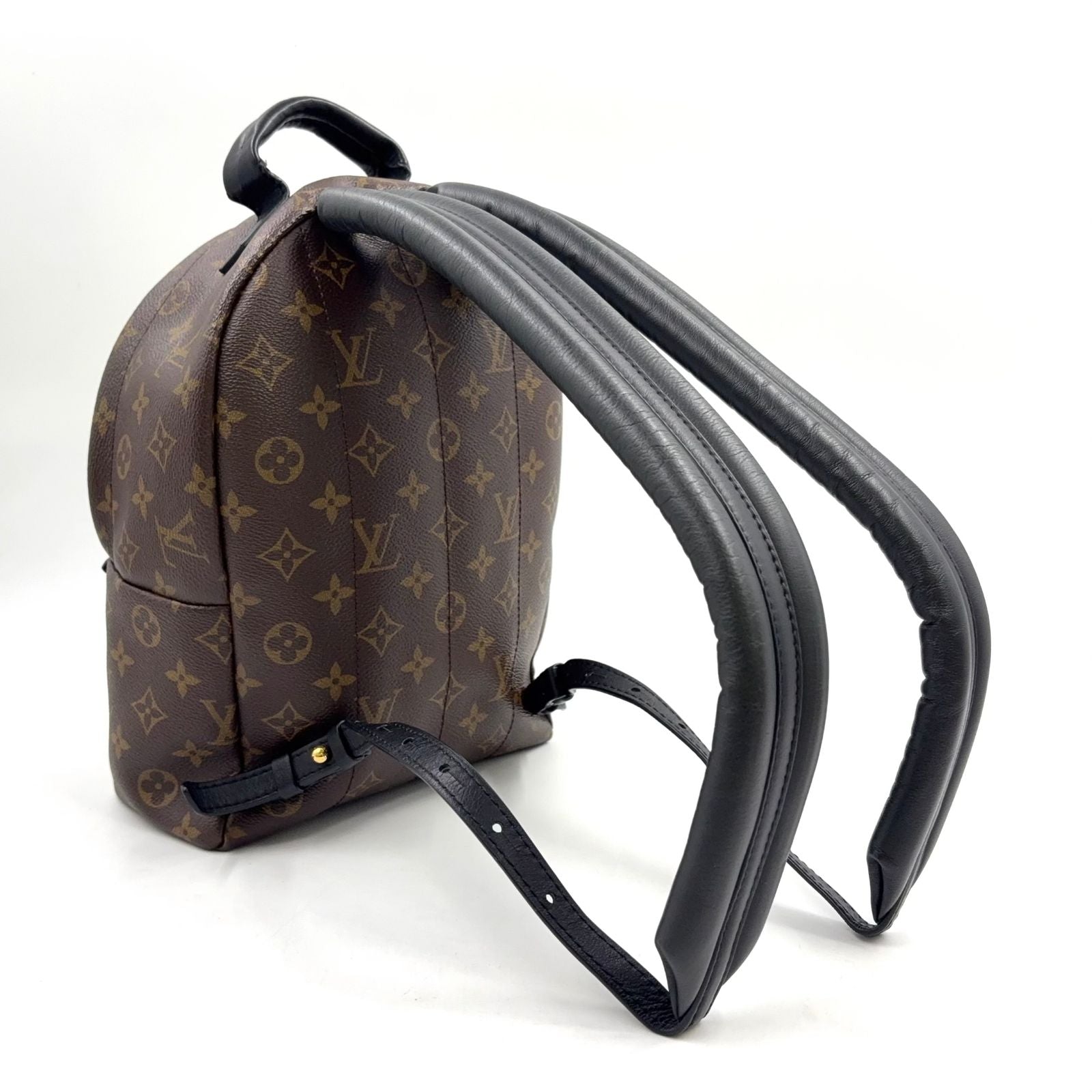 Louis Vuitton Palm Springs PM Monogram Leather Brown Black Backpack Gold — view 2