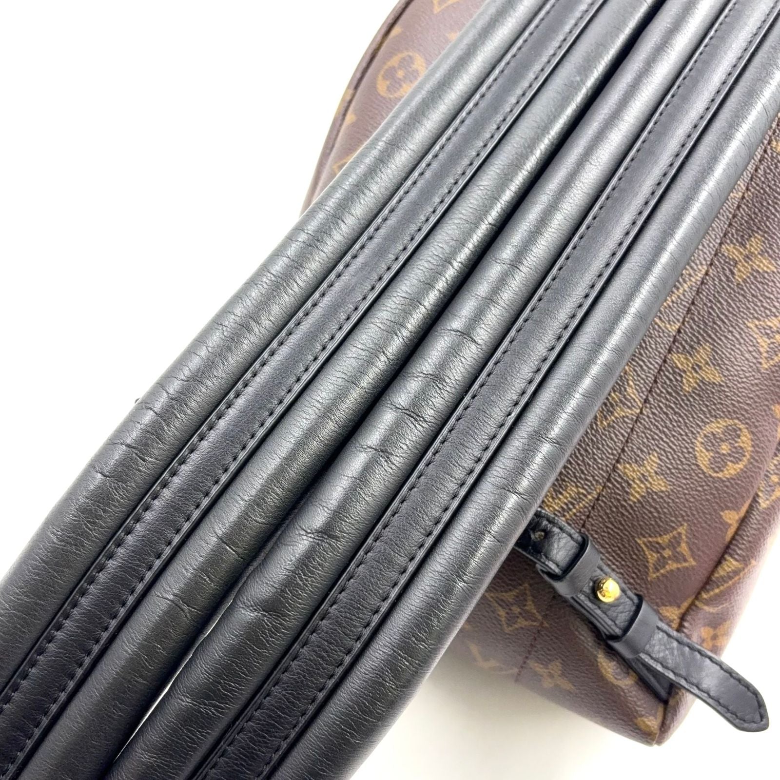 Louis Vuitton Palm Springs PM Monogram Leather Brown Black Backpack Gold — view 6