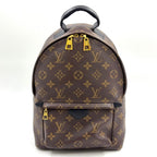 Louis Vuitton Palm Springs PM Monogram Leather Brown Black Backpack Gold