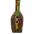Dior Shoulder Bag Rasta Dark Brown Beige Multi Leather — view 2