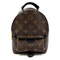 Louis Vuitton Palm Springs Backpack Mini Monogram Correspondence Leather Brown