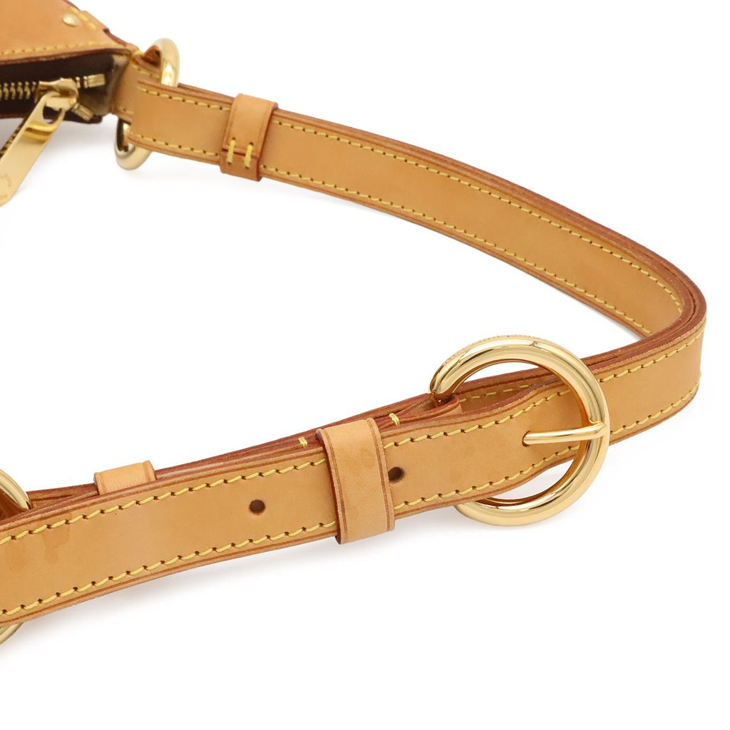Louis Vuitton Monogram Etoile City PM Shoulder — view 4