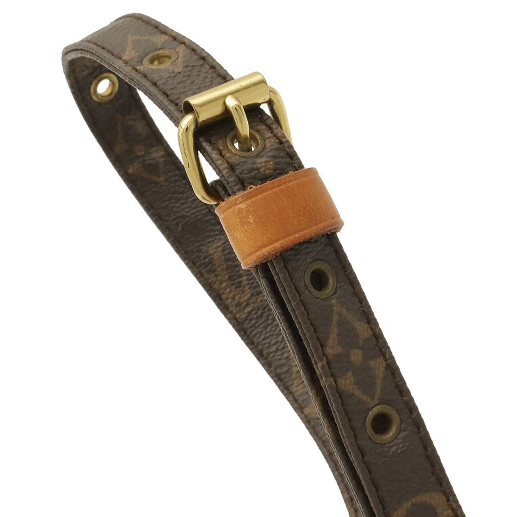 Louis Vuitton Monogram Danube Shoulder Bag Pochette — view 4