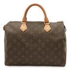 Louis Vuitton Monogram Speedy 30 Mini Boston