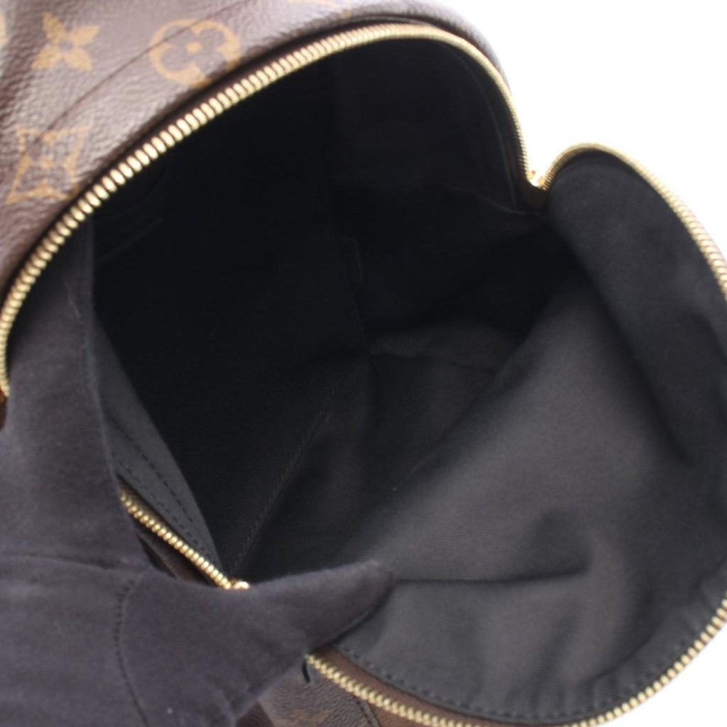 Louis Vuitton Backpack Palm Springs PM Canvas Leather — view 3