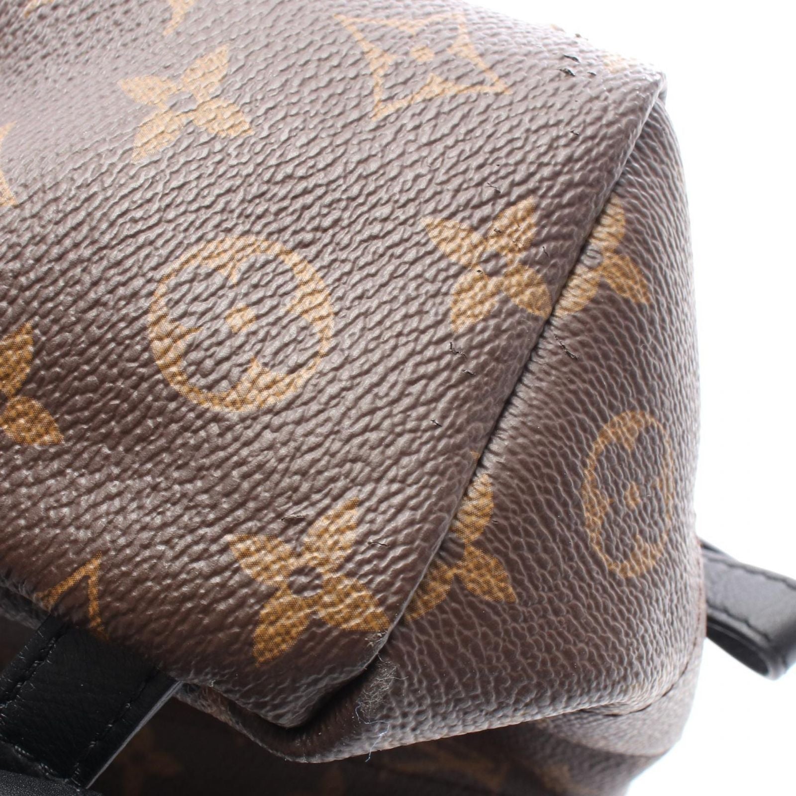 Louis Vuitton Backpack Palm Springs PM Canvas Leather — view 7