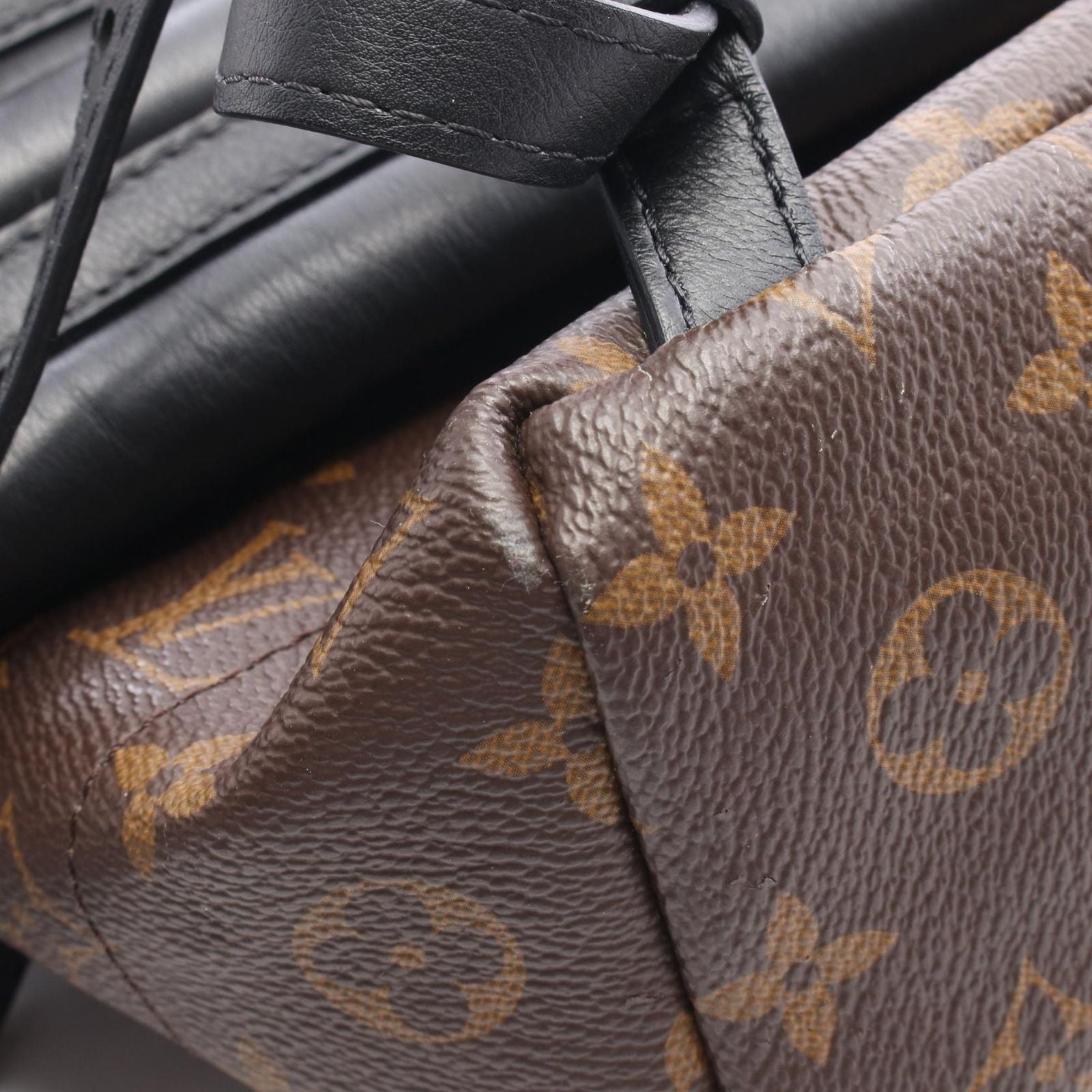 Louis Vuitton Backpack Palm Springs PM Canvas Leather — view 8