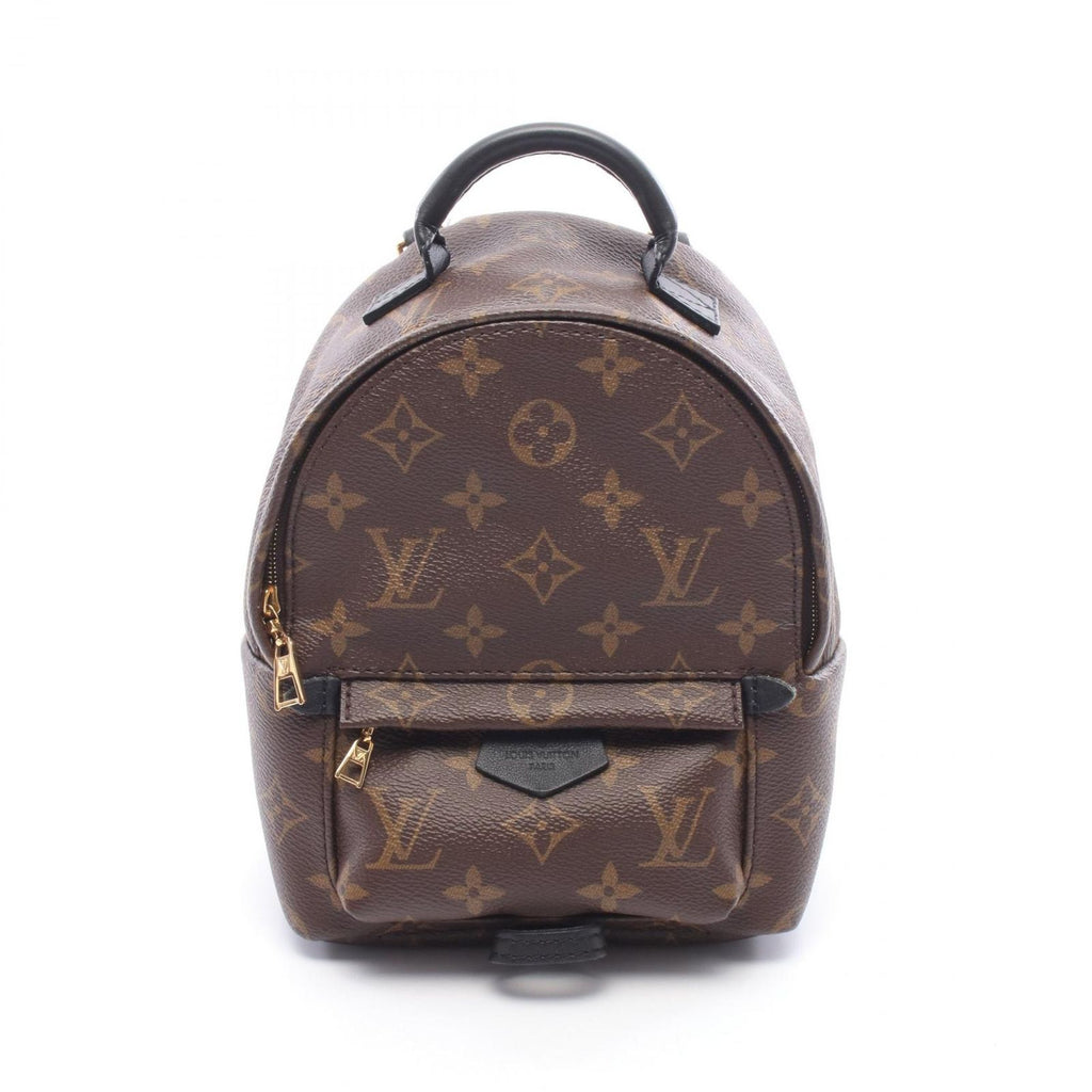 Louis Vuitton Backpack Palm Springs Mini Canvas Leather