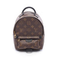 Louis Vuitton Backpack Palm Springs Mini Canvas Leather