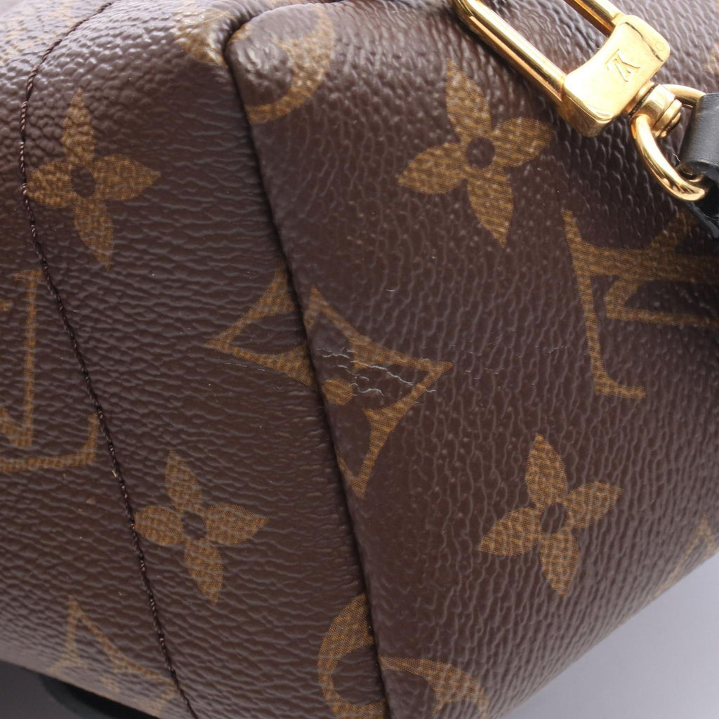 Louis Vuitton Backpack Palm Springs Mini Canvas Leather — view 8