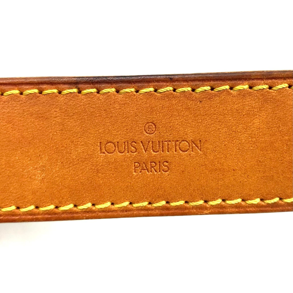 Louis Vuitton Danube Monogram Leather Brown Light Shoulder Bag Gold — view 7