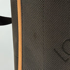 Louis Vuitton Companion Shoulder Bag Damier Geant Tail — view 5