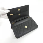 Chanel Timeless Classic Line Chain Wallet Shoulder Bag — view 6