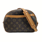 Louis Vuitton Monogram Blower Shoulder Bag