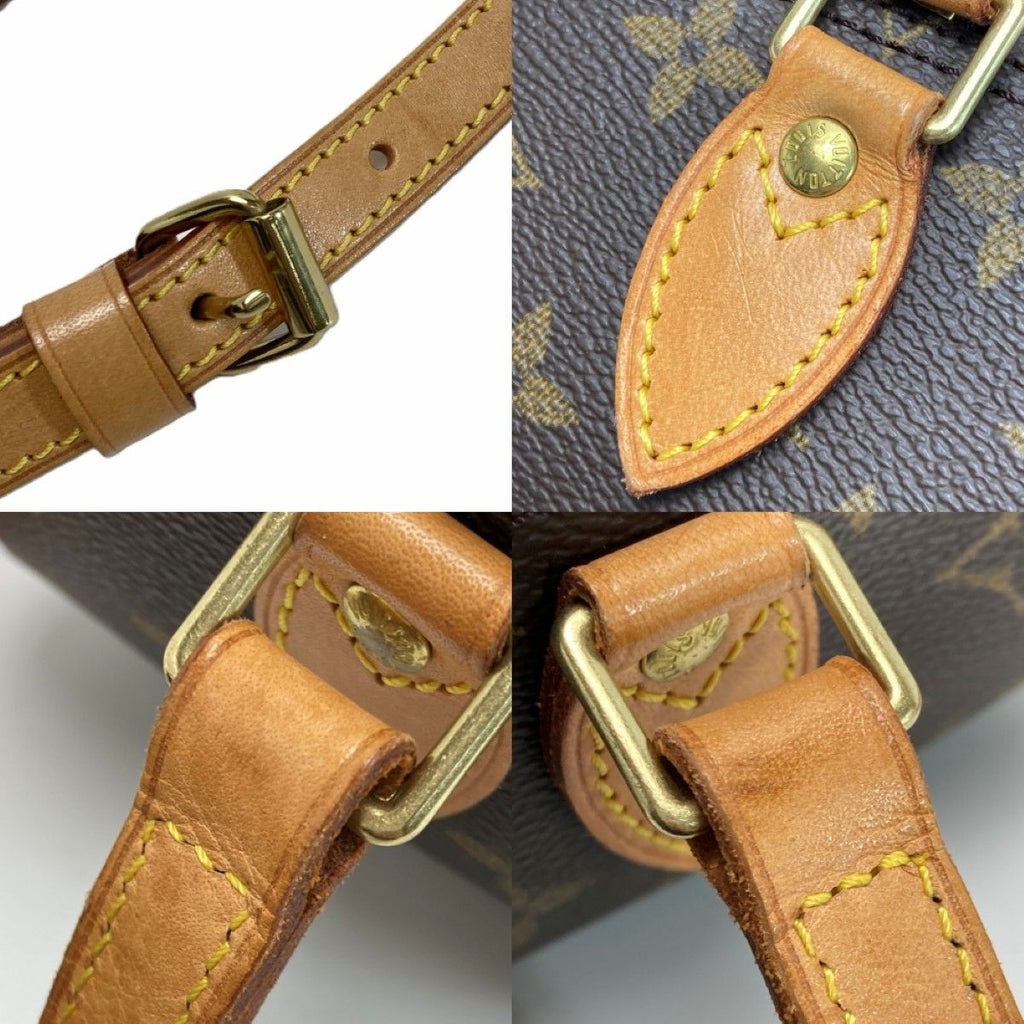 Louis Vuitton Monogram Blower Shoulder Bag — view 8