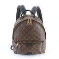 Louis Vuitton Monogram Palm Springs Backpack MM