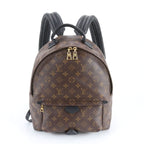 Louis Vuitton Monogram Palm Springs Backpack MM