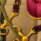 Hermes Carre 90 Festival Scarf Silk Brown Multicolor — view 4
