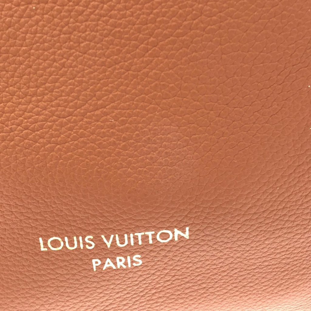 Louis Vuitton Lowkey Hobo MM Shoulder Bag — view 5