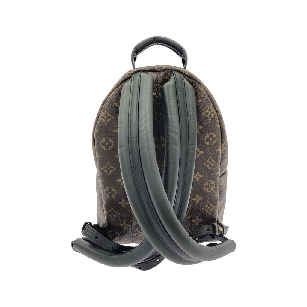 Louis Vuitton Monogram Palm Springs Backpack PM — view 2