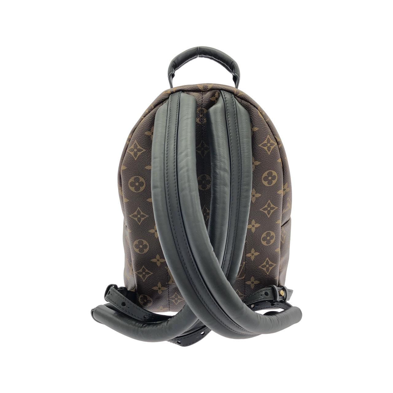 Louis Vuitton Monogram Palm Springs Backpack PM — view 2